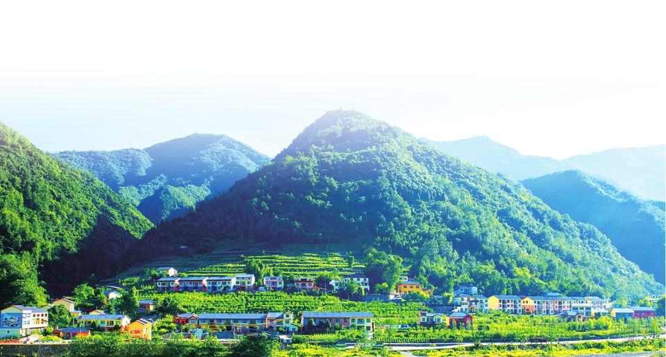 修齐镇“五彩山庄”