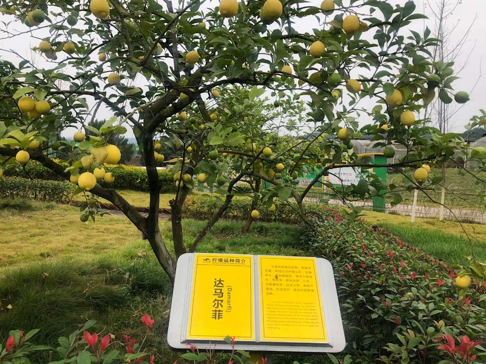 0c56916471d046bdbfa961a9e51e35cc.jpg 0c56916471d046bdbfa961a9e51e35cc.jpg