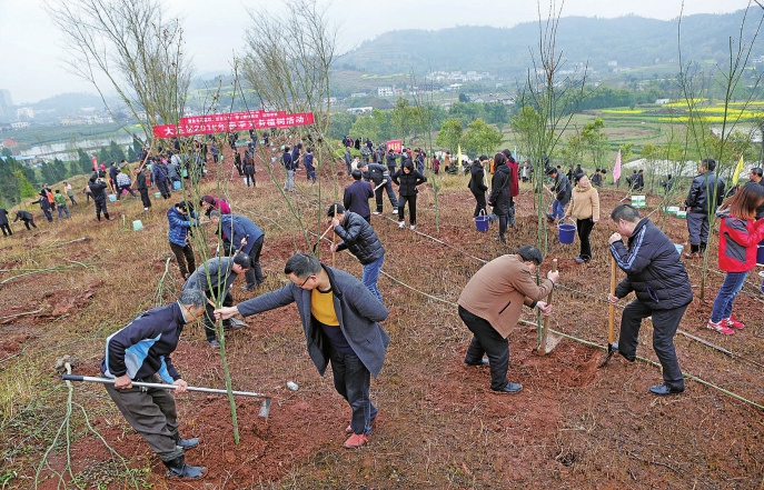 大足干部群众踊跃参加义务植树。
