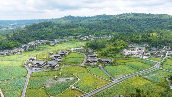 ▲“如梦荷棠·山湾时光”。（资料图）　新渝报记者黄舒摄