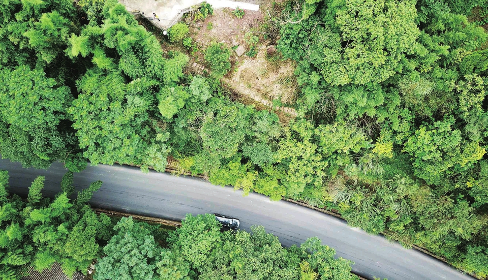 古道(图上方小石板路)与现代公路相邻而建