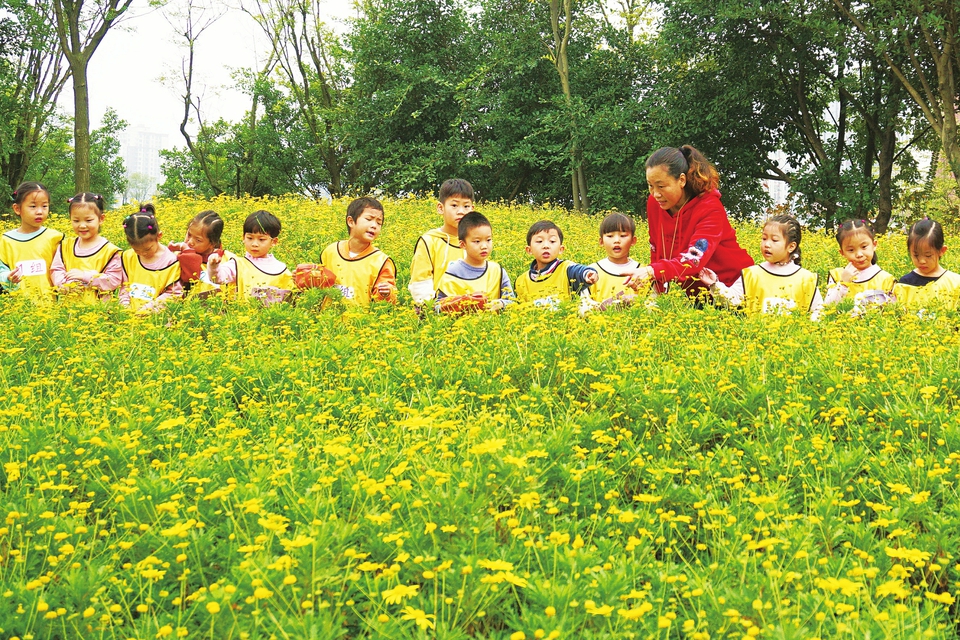 　　南山幼儿园勇于开拓户外第二课堂，带领幼儿到户外识别各类植物，树立爱护自然花草树木、保护环境的意识，受到家长好评。图为日前南山幼儿园老师在物种丰富的圣迹公园给幼儿上自然课。记者邓小强摄
