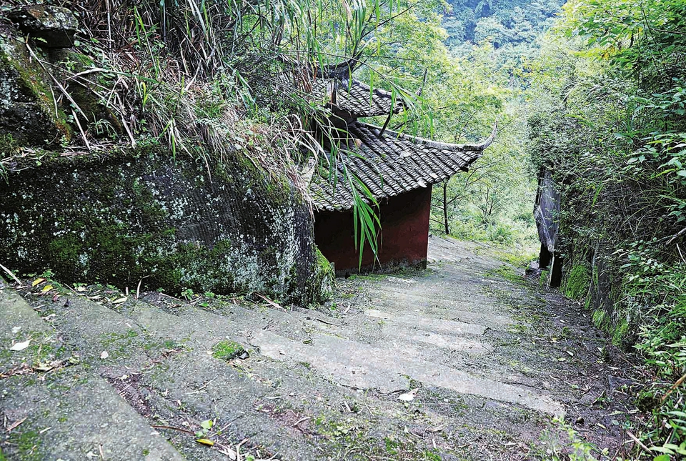 高峰村境内的小川东道,一直向下便是“九蹬桥”
