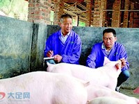 蒋兴刚：生猪养殖“土专家”