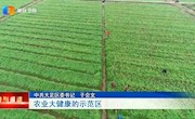 实现成渝地区双城经济圈的中部崛起，于会文说大足要发挥好三大优势