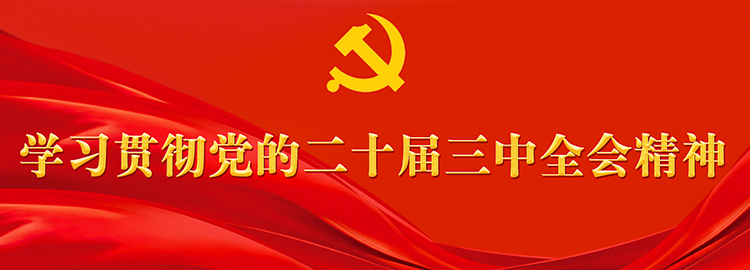 专题 | 学习贯彻党的二十届三中全会精神