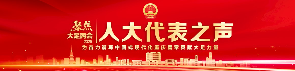 人大代表之声