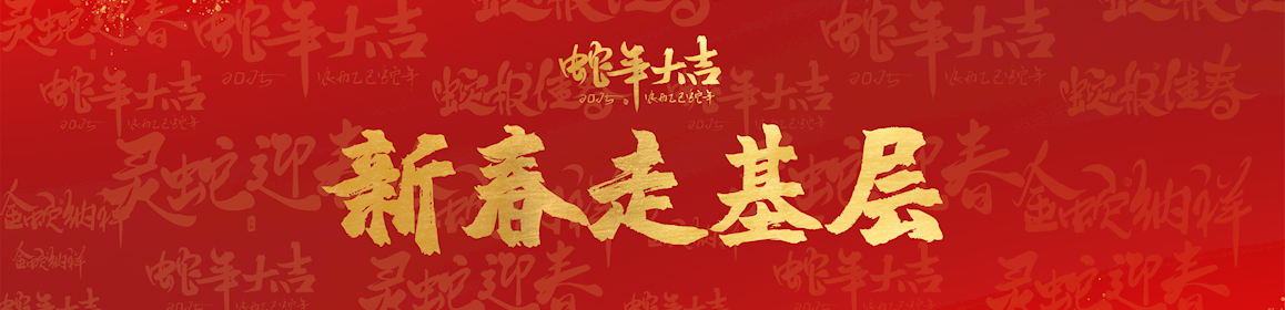 2025新春走基层