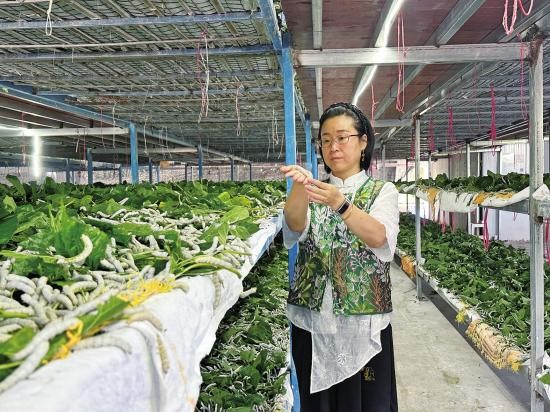埂生基（重庆）生态农业有限责任公司董事长倪蓓华：一根“金丝线”串起千家万户致富梦