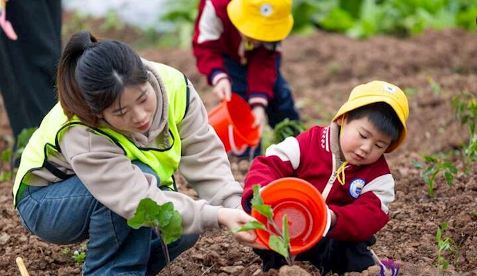 蓝湖丽都幼儿园开展春分自然实践活动