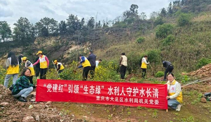 区水利局机关党委开展义务植树活动