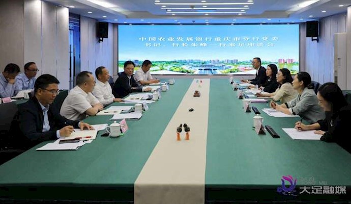 钟涛与农发行重庆市分行党委书记、行长朱峰一行座谈