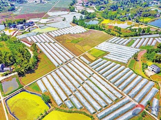 航拍下的奉荃蔬菜种植股份合作社基地