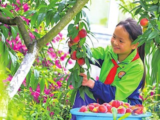 三园校文化让学生受到劳动熏陶