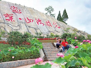 我区启动城区坡坎崖壁等立体绿化改造工作