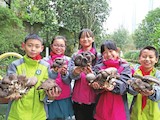 双桥实验小学着力打造劳动实践基地