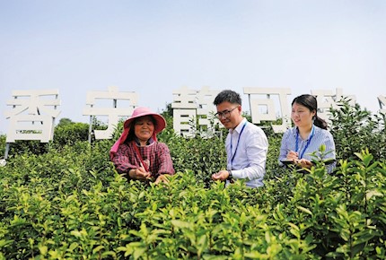 区纪委监委立足监督职责 有力监督护航乡村振兴